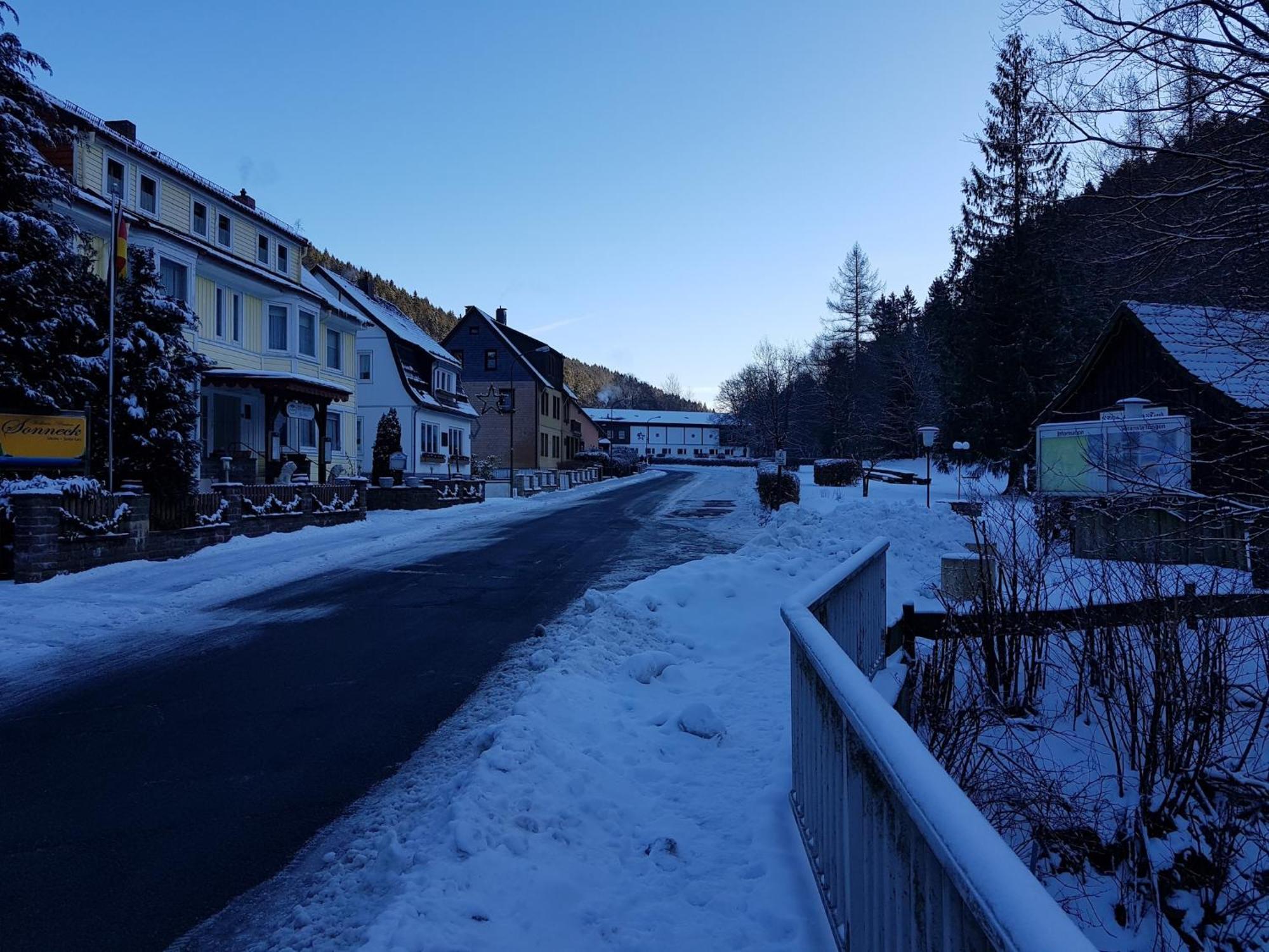 Adorable Aparment In Wildemann With Parking Leilighet Eksteriør bilde