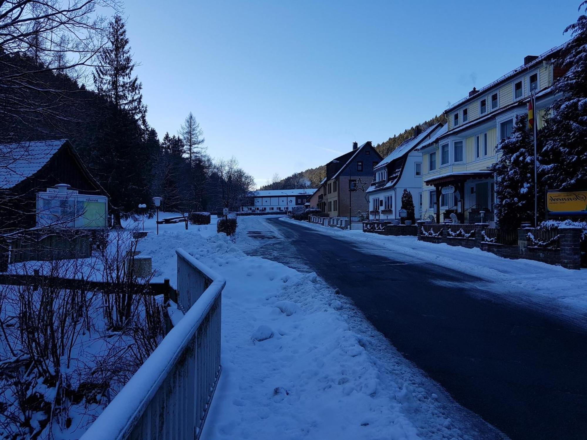 Adorable Aparment In Wildemann With Parking Leilighet Eksteriør bilde